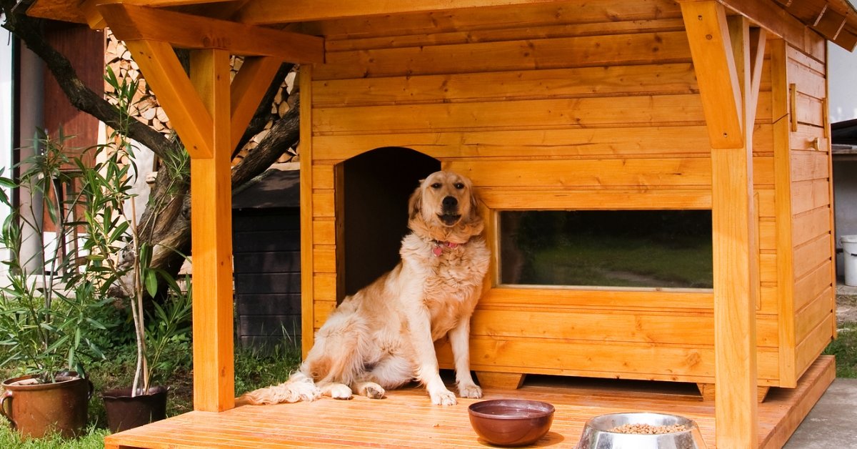 Будка для собаки своими руками: инструкции для изготовления из досок, поддонов и картона